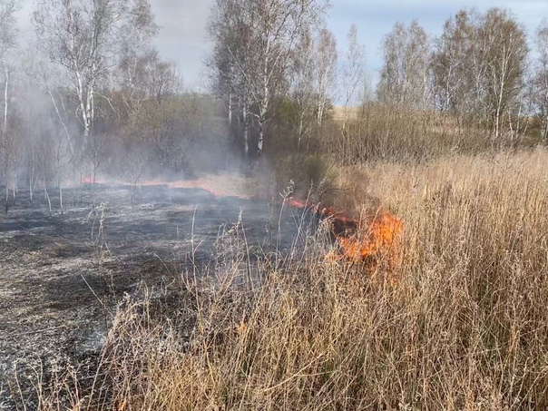 3 мая пожарные ликвидировали пал сухой растительности в 3 км от села Лермонтовка